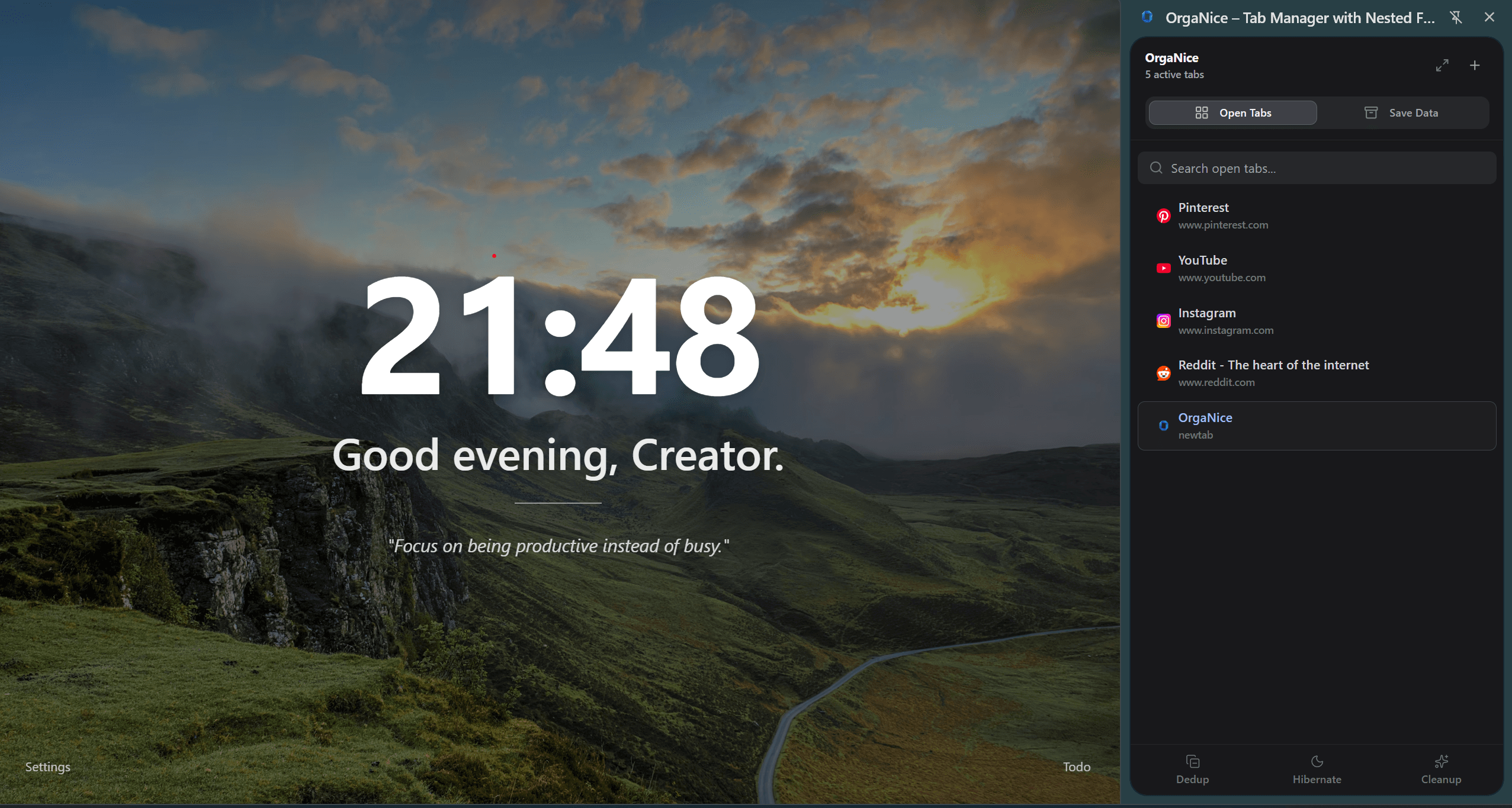 OrgaNice Side Panel Interface